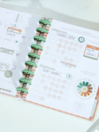 Reflect & Grow Budget Journal